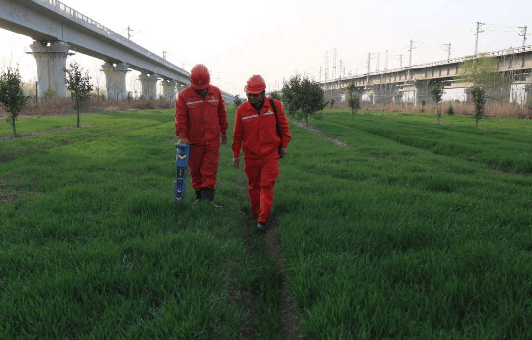 器2025·数字温度PG麻将胡了2模拟(图18)